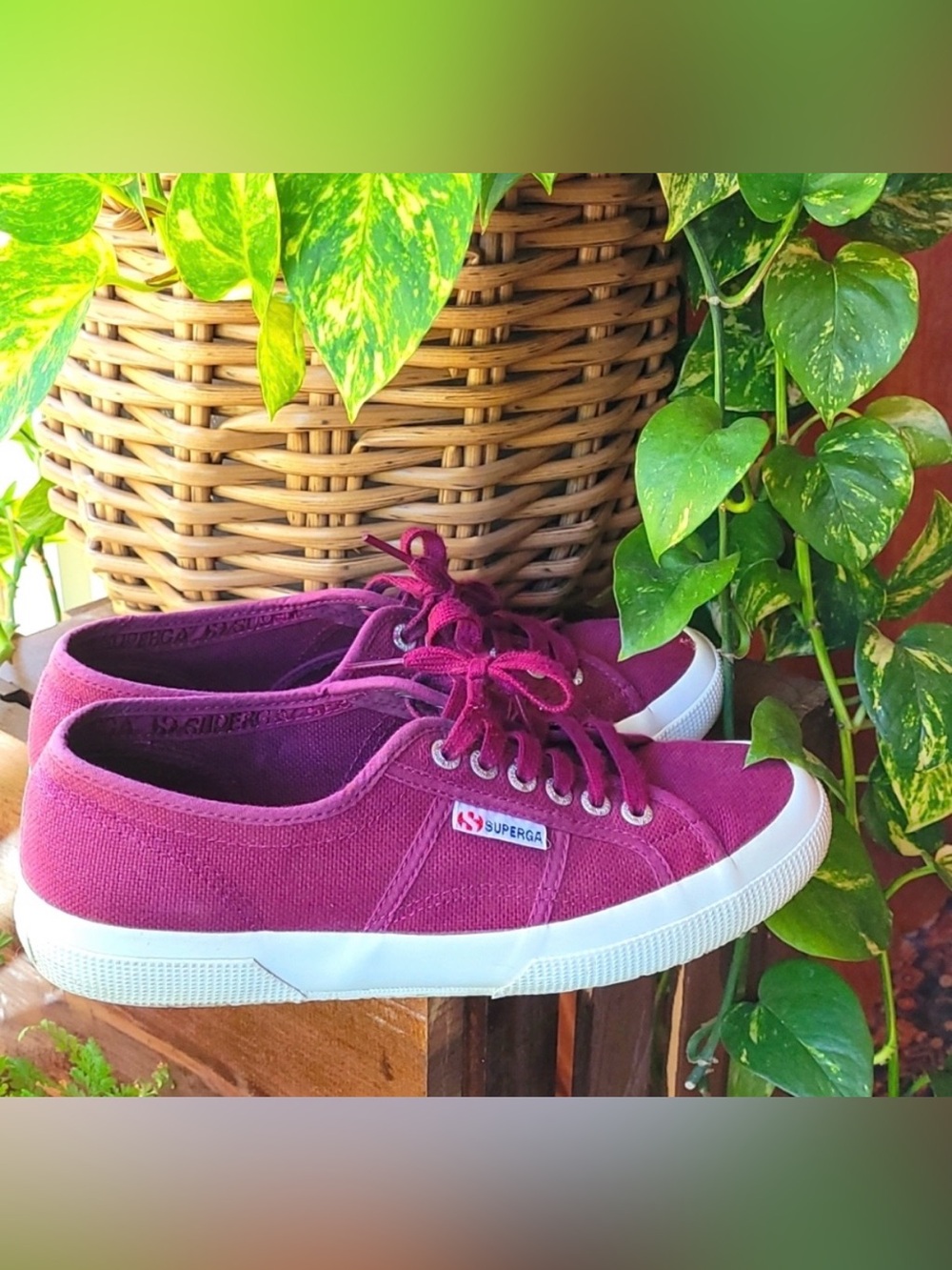 Superga Women's Canvas Sneakers in Magenta Size 40